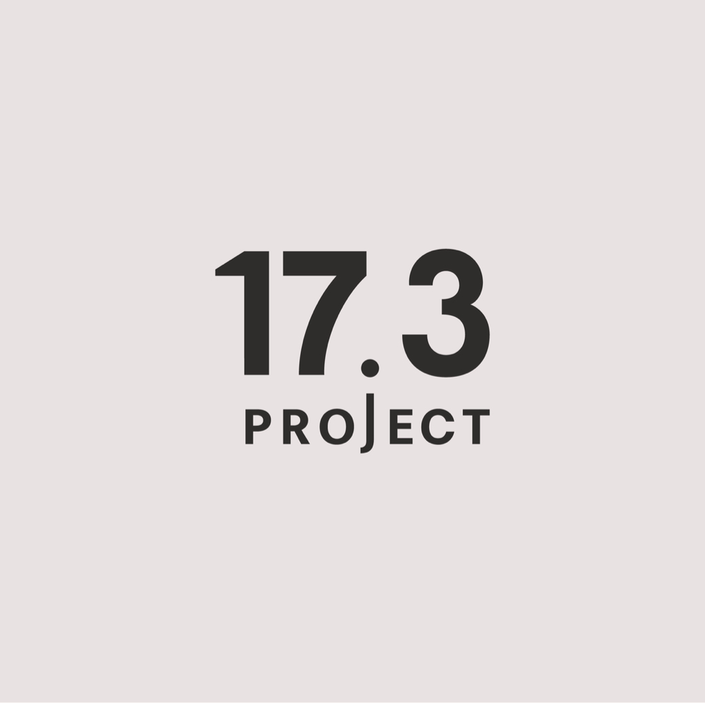 17.3project