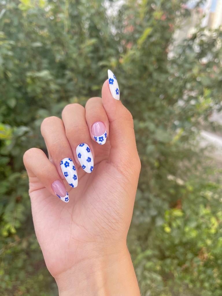 Кашина Анна