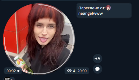 Миша Невдупленыш