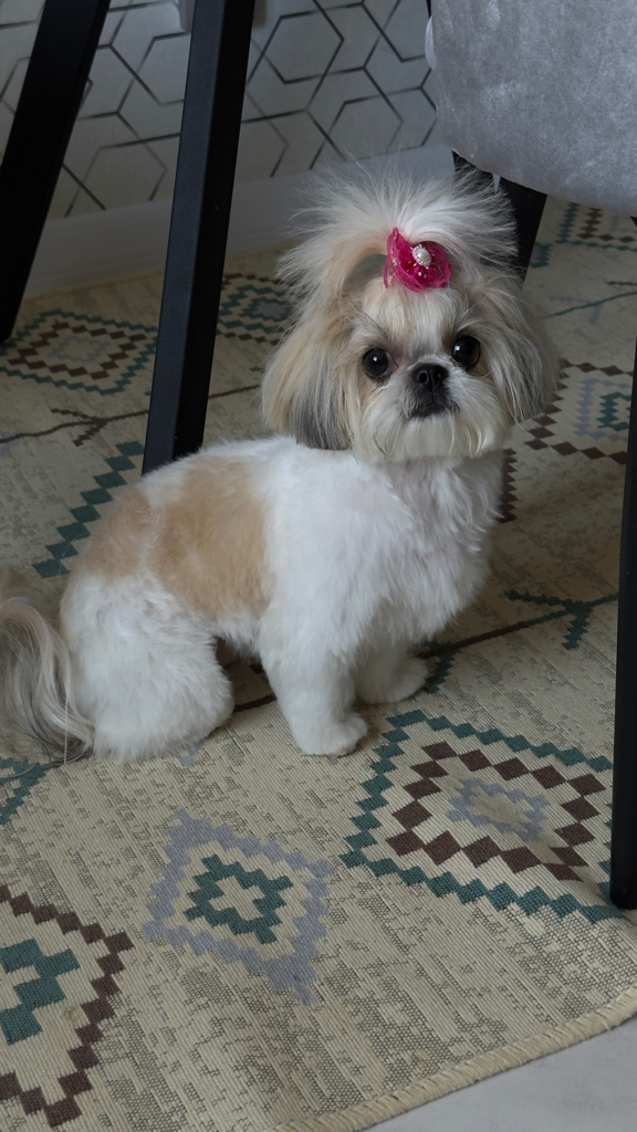 Анастасия